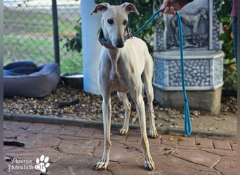 Lea ist fröhlich und hat eine tolle Ausstrahlung , braucht anfangs Zeit