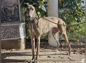 Loredana ist sehr menschenbezogen