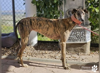 Loredana ist sehr menschenbezogen