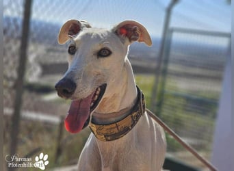 Jana ist derzeit noch schüchtern und unsicher