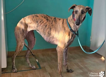 Karo ist menschenbezogen, braucht anfangs aber Zeit