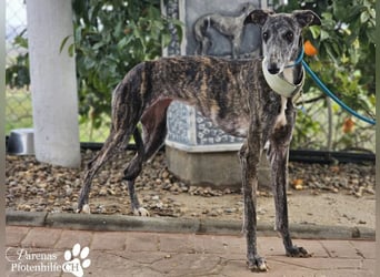 Lambada braucht Zeit und Geduld