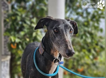 Luigi ist ein Schatz, anfangs etwas schüchtern, öffnet sich aber schnell