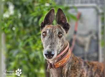 Magnus hat ein ruhiges, schüchternes Wesen