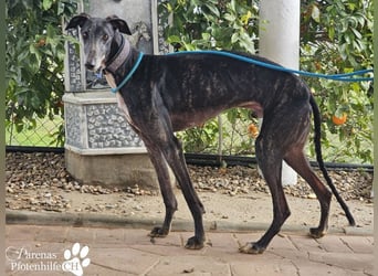 Luigi ist ein Schatz, anfangs etwas schüchtern, öffnet sich aber schnell