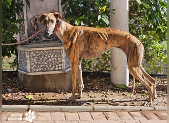 Karo ist menschenbezogen, braucht anfangs aber Zeit