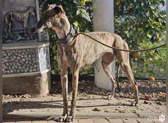 Loredana ist sehr menschenbezogen