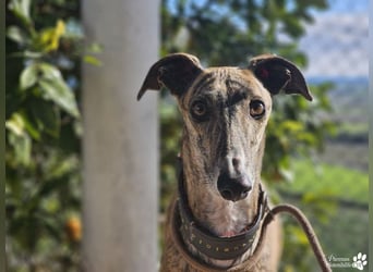 Loredana ist sehr menschenbezogen