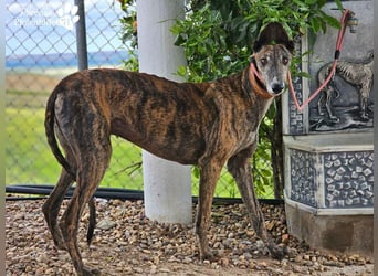 Magnus hat ein ruhiges, schüchternes Wesen