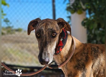 Karo ist menschenbezogen, braucht anfangs aber Zeit