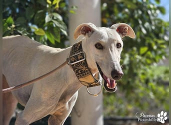 Jana ist derzeit noch schüchtern und unsicher