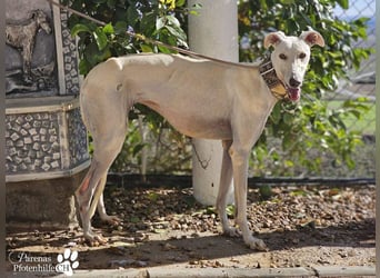 Jana ist derzeit noch schüchtern und unsicher