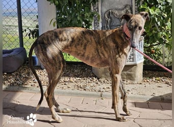 Loredana ist sehr menschenbezogen