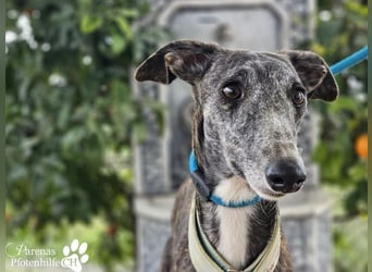 Lambada braucht Zeit und Geduld