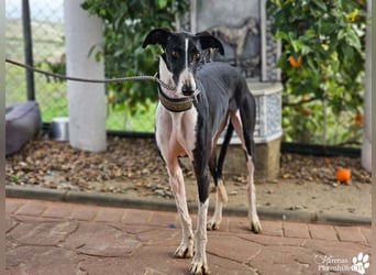 Madlen, wunderschön, sanftes Wesen, braucht anfangs etwas Zeit