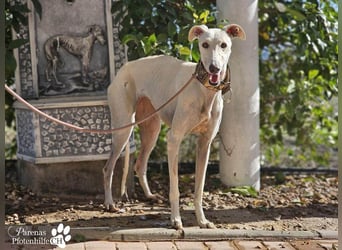 Jana ist derzeit noch schüchtern und unsicher