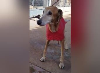 ❤️ BALE ❤️    ❗NOTFALL❗