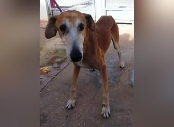 ❤️ BALE ❤️    ❗NOTFALL❗