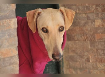 Darf Kiska deine Superheldin sein?