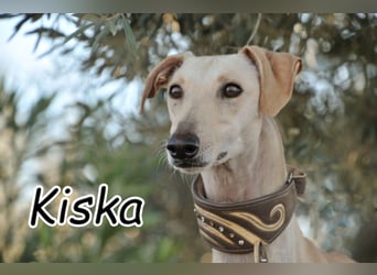 Darf Kiska deine Superheldin sein?