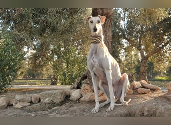 Darf Kiska deine Superheldin sein?