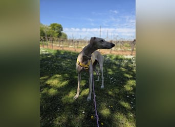 Darf Kiska deine Superheldin sein?