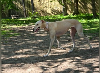 Darf Kiska deine Superheldin sein?