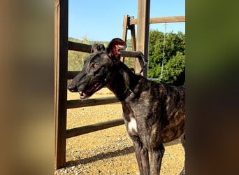 Candela (TO) Freude pur