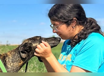 Bingo - bezaubernd und freundlich