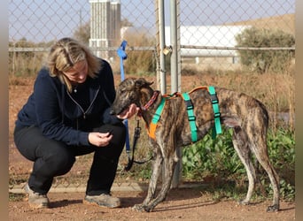 Joselito *PS in 834xx*