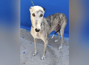 Luna - Nach einem Leben voller Entbehrungen sucht sie endlich ihr eigenes Glück