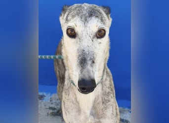 Luna - Nach einem Leben voller Entbehrungen sucht sie endlich ihr eigenes Glück