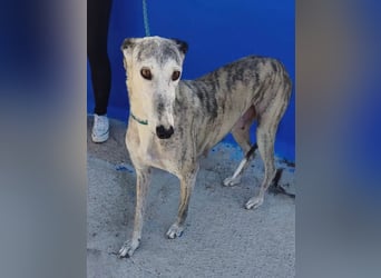 Luna , Nach einem Leben voller Entbehrungen sucht sie endlich ihr eigenes Glück