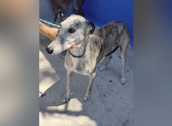 Luna - Nach einem Leben voller Entbehrungen sucht sie endlich ihr eigenes Glück