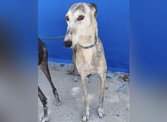 Luna - Nach einem Leben voller Entbehrungen sucht sie endlich ihr eigenes Glück