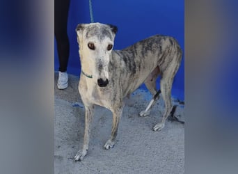 Luna - Nach einem Leben voller Entbehrungen sucht sie endlich ihr eigenes Glück