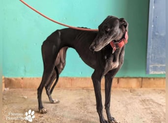 Jessica ist anfangs schüchtern, öffnet sich jedoch sobald Vertrauen da ist