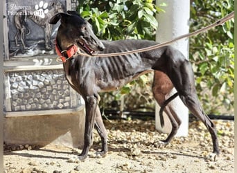 Jessica ist anfangs schüchtern, öffnet sich jedoch sobald Vertrauen da ist