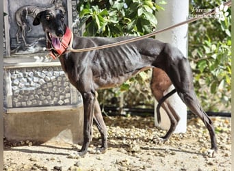 Jessica ist anfangs schüchtern, öffnet sich jedoch sobald Vertrauen da ist