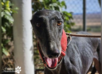 Jessica ist anfangs schüchtern, öffnet sich jedoch sobald Vertrauen da ist