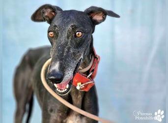 Jessica ist anfangs schüchtern, öffnet sich jedoch sobald Vertrauen da ist