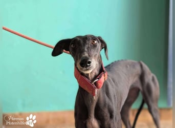 Jessica ist anfangs schüchtern, öffnet sich jedoch sobald Vertrauen da ist