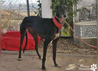 Jessica ist anfangs schüchtern, öffnet sich jedoch sobald Vertrauen da ist