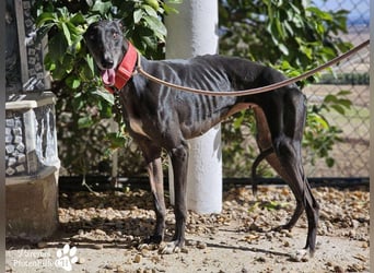 Jessica ist anfangs schüchtern, öffnet sich jedoch sobald Vertrauen da ist