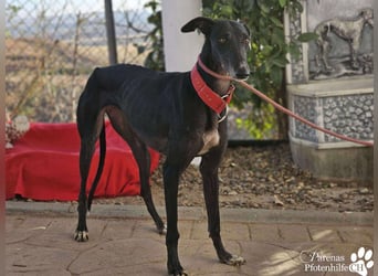 Jessica ist anfangs schüchtern, öffnet sich jedoch sobald Vertrauen da ist