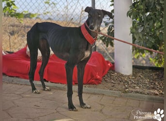 Jessica ist anfangs schüchtern, öffnet sich jedoch sobald Vertrauen da ist