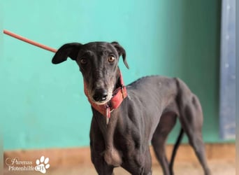 Jessica ist anfangs schüchtern, öffnet sich jedoch sobald Vertrauen da ist