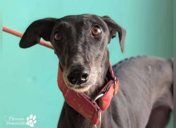 Jessica ist anfangs schüchtern, öffnet sich jedoch sobald Vertrauen da ist