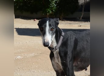 ❤️CATALEYA❤️