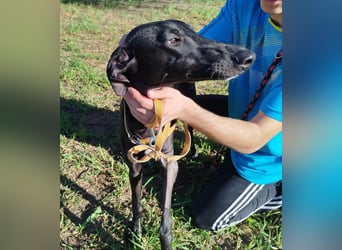 ❤️ ISERLO ❤️